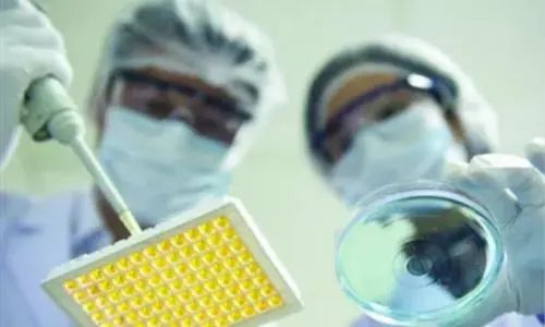 北京經開區 從仿制到創新，生物醫藥產業的技術開發如何擦亮“創新底色”