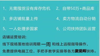 亞馬遜無貨源模式開店創業項目加盟